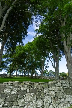 Utstein Abbey stone wall framing green field and trees in Rogaland, Norway