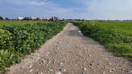 Obraz premium A dirt road runs through green fields toward quiet countryside houses under a cloudy sky, creating a peaceful and simple rural atmosphere.