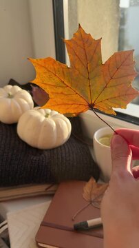 Dry golden maple leave in woman hand at home with cozy fall background. Creating comfy and cozy autumn memories and atmosphere with cute small details: pumpkins, leaves, hot tea with lemon