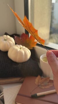 Woman playing with yellow maple leave in her hand close up. Cozy autumn vibe at home, natural decor and hot tea with lemon by the window