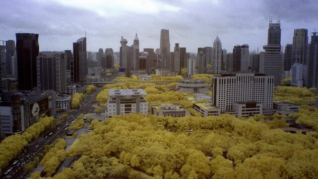 An infrared timelapse shows the Shanghai skyline and skyscrapers surrounding the golden foliage of People Square park under an overcast sky