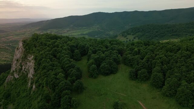 Aerial view of green mountain valley and forest