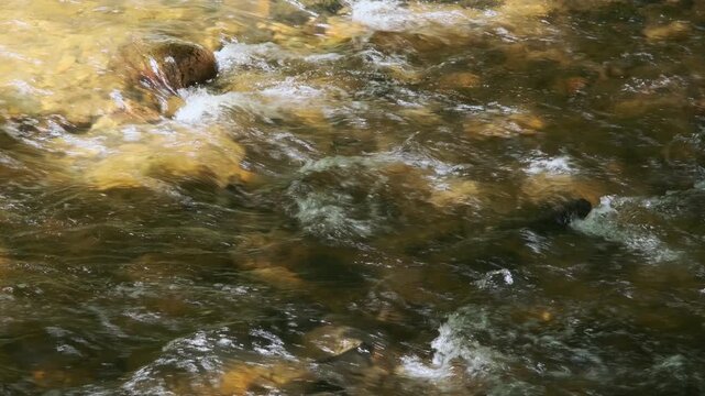 Gold colored water stream flowing over rocks and smooth stones in a river with motion blur effect, creating a sense of movement and tranquility.	