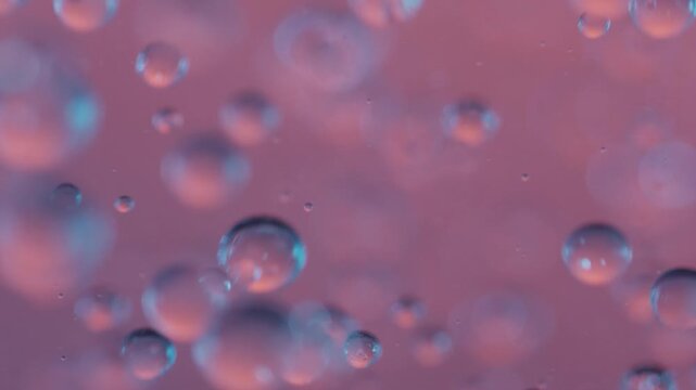 Water,Water Current,Underwater,
Water Bubbles,Bubbles,Polka Dots,
Floating,Pouring,Plankton,Pink,C-UP,HS