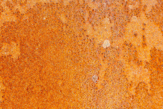Close-up texture of weathered orange rust on metal surface with subtle pitting, background, texture