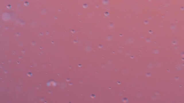 Water Flow,Underwater,Bubbles,
Water Bubbles,Polka Dots,Floating,Pouring,
Plankton,Pink,C-UP,HS