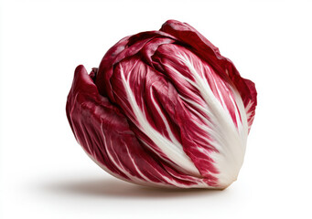 Fototapeta premium Fresh whole red radicchio chicory vegetable with vibrant burgundy and white leaves