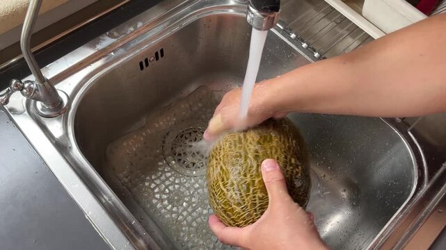High angle close up view of hands thoroughly washing a whole melon (piel de sapo) under running tap water in a stainless steel kitchen sink before food preparation.