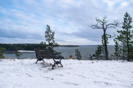 Winter landscape featuring a wooden bench on snow-covered ground overlooking a calm lake. Evergreen trees and a leafless tree frame the peaceful scene under a cloudy sky, creating a serene and quiet N