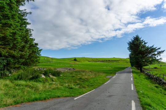 Country road winding through Fj&oslash;l&oslash;y Rogaland landscape