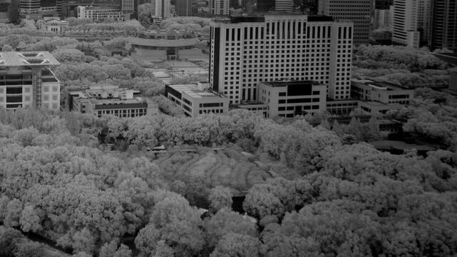 An aerial infrared timelapse of a lush city park surrounded by modern skyscrapers and high rise office buildings with shadows moving across the trees