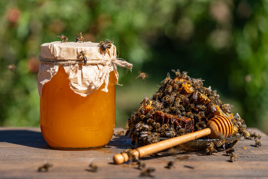Fresh honey jar and honeycombs covered with live bees, closeup. Organic sweet honey in glass jar and raw honeycombs with swarm of bees on plate with wooden dipper outdoors in sunny summer garden