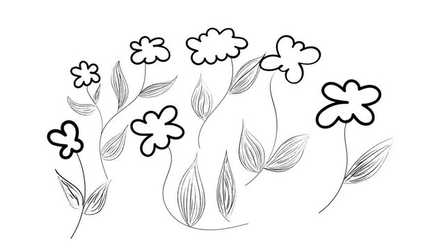 Hand drawn floral animation featuring simple black flowers swaying gracefully in this rhythmic digital motion video