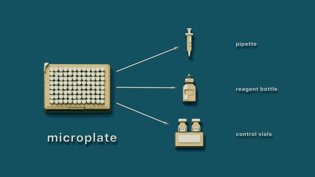 Assay setup distributes a sample across parallel test wells, adds controls and reagent, and sends the microplate for reading. Flat 3D style with smooth matte surfaces; objects labelled in English.