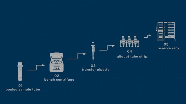 Two inputs converge into a pooled sample for centrifugation, aliquot transfer and reserve storage for later runs. Flat 3D style drawn over in pen and marker; objects numbered and labelled in English.