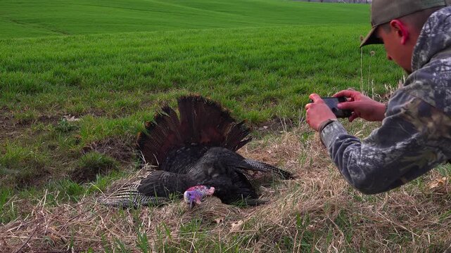 A close up shot of a camouflaged hunter holding a smartphone to take a picture of a harvested wild tom turkey arranged in full fan display on a grassy field edge during early spring.