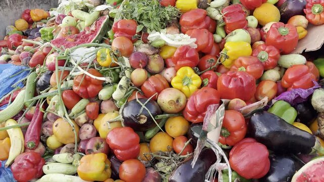 Expired Organic bio waste. Biodegradable waste decomposing, a mix of fruits and vegetables beginning the decomposition process. Mix Vegetables and fruits in a huge container. Organic Compost heap