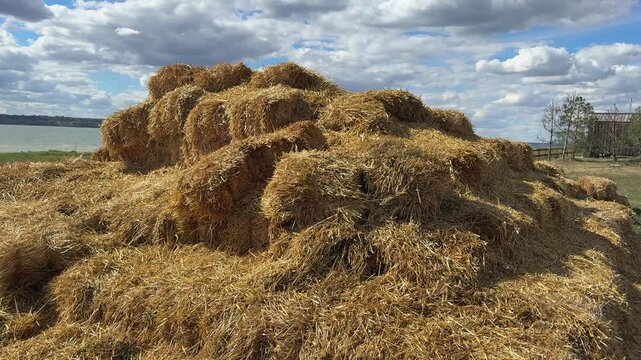 Hay bales stacked in a field with a lake and cloudy sky in the background