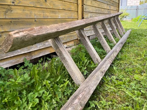 Old wooden ladder resting on grass beside a wooden structure in a backyard area