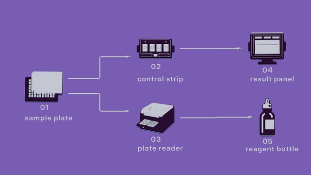 Sample and control comparison validates the batch, with a shared source branching into two paths that each reach a separate endpoint. Flat 3D style with smooth matte surfaces; objects numbered and