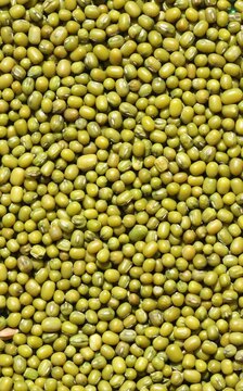 Detailed view on mung bean background. Green bean mash texture