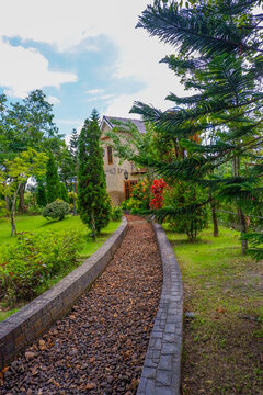 Stone pathway in garden and footpath in picturesque summer park and staircase in backyard,Paving stones on floor in park,Garden landscape design,space for text.