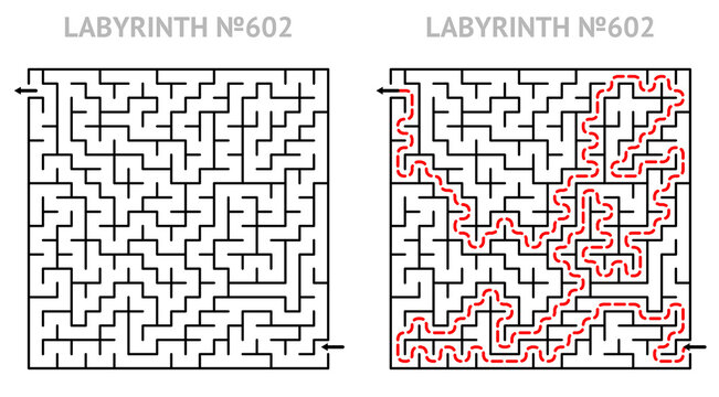 Solved maze vector 21x21 with answer. Labyrinth game grid for teens. Maze challenge with answers. Medium level.