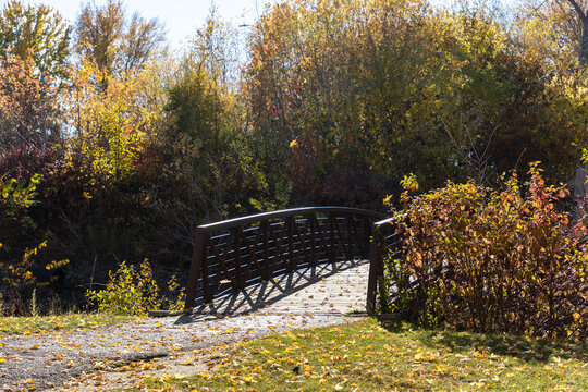 Small pedestrian bridge in autumn park. Footbridge with fall foliage. Andrew Haydon Park in Ottawa, Canada