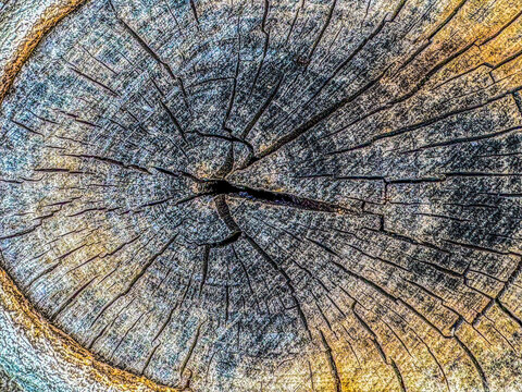 old wood texture