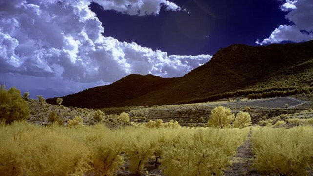 Infrared timelapse shows fluffy white clouds moving across a deep blue sky above rolling hills and fields filled with yellow foliage and trees