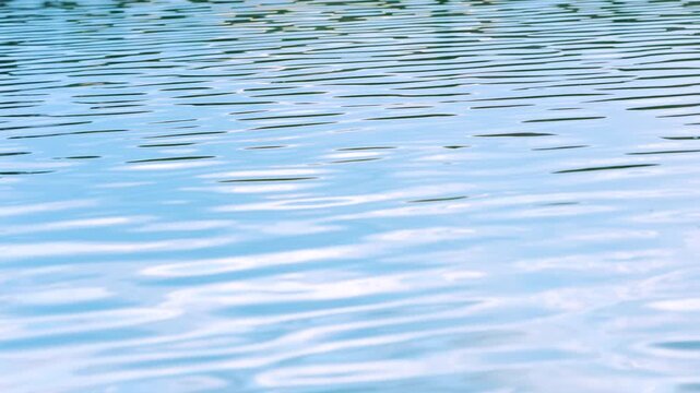 Clear blue water surface with gentle ripples and soft reflections as background