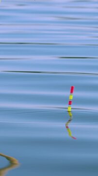 Vertical fishing float bobbing on calm water surface. Vertical video of a striped fishing float bobbing gently on the surface of calm blue water with soft ripples in natural daylight.