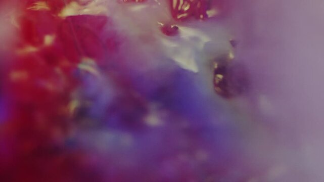 Fantastic,Fruit,Cut Section,Fruit Flesh,
Juice,Colorful,Ink,Ink Drop,Smoke,Light/dark,
Color Lighting,C-UP,Camera Movement,HS