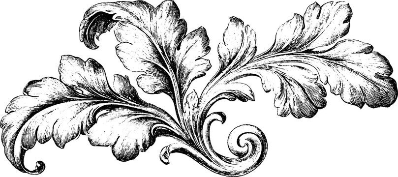 Antique engraved leaf flourish ornament isolated on white background for vintage corner decoration and divider design element