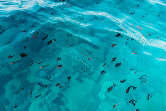 Turquoise Mediterranean Sea Water with Sunlight Reflections and Natural Underwater Texture