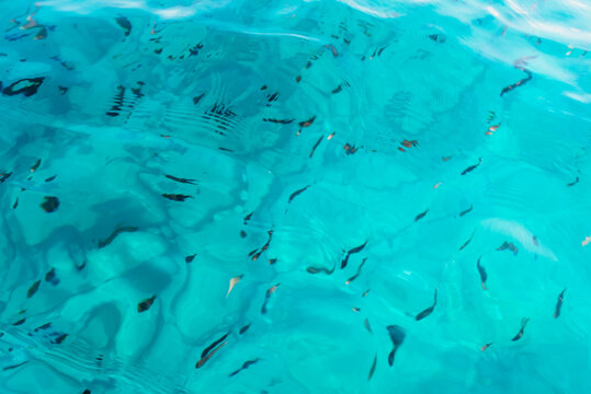 Turquoise Mediterranean Sea Water with Sunlight Reflections and Natural Underwater Texture