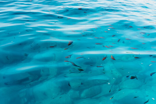 Turquoise Mediterranean Sea Water with Sunlight Reflections and Natural Underwater Texture
