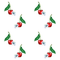 Seamless botanical pattern hand-painted red cherries with green leaves and white blossoms, arranged on a white background. Watercolor illustration of Red ripe berries for product labels, wrappers © Irina