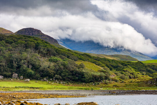 Low clouds drifting across steep mountain slopes and coastal woodland above a rocky sea loch shoreline on the Isle of Mull, Scotland, wide view