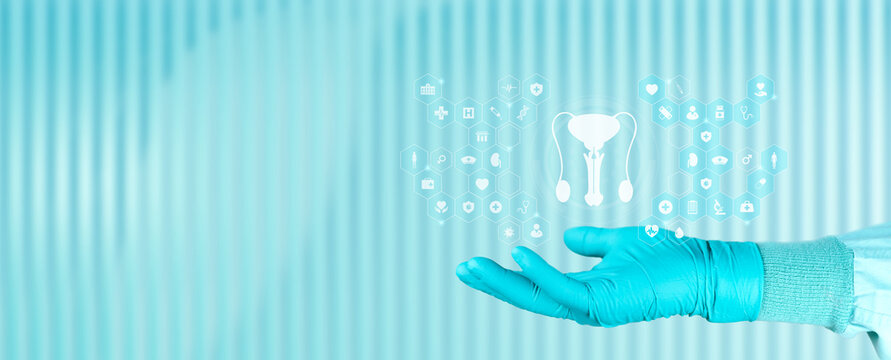 Prostate cancer and men's health education concept. A doctor's hand displays an icon of the male reproductive system. Emerald green background.