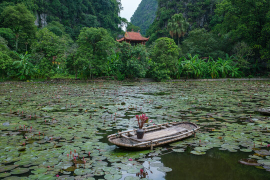 Bamboo Raft Among Water Lilies in a Lush Vietnamese Landscape