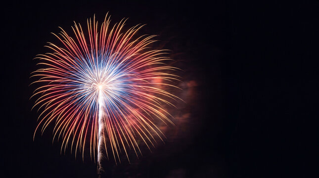 Vibrant colorful fireworks exploding in the dark night sky