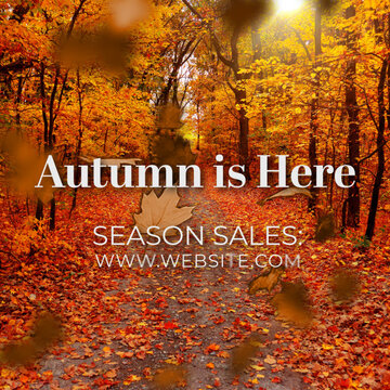 Square Autumn Falling Leaves Elegant Title &ndash; Fall Season Video Opener Media Replacement  for Social Media Seasonal Post