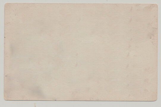 Vintage Blank Postcard back with no header