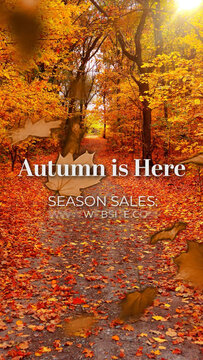 Vertical Autumn Falling Leaves Elegant Title &ndash; Fall Season Video Opener Media Replacement for Short-Form Seasonal Content