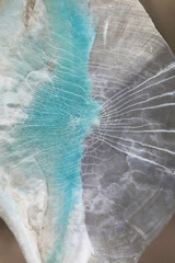 Fish scale close up from Napoleon Wrasse (Cheilinus undulatus) © Pavaphon