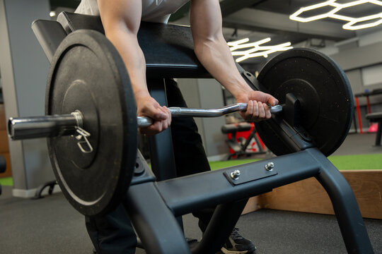 A muscular man trains in the gym, doing barbell curls for biceps. Bodybuilding concept.