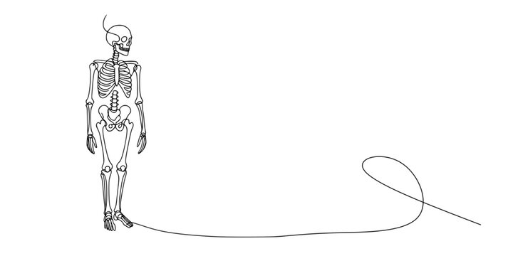 Continuous Line Skull,	A minimalist skull illustration drawn with a single continuous line, showing eye sockets, nasal cavity, and teeth in a fluid outline