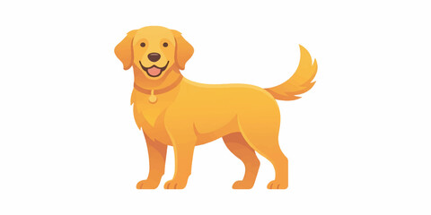 Obraz premium Golden Retriever Dog Standing Proudly Isolated on White Background