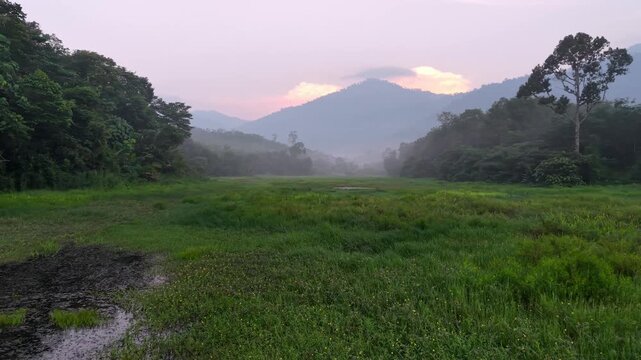 Tranquil green field stretches into the distance. Shallow stream flows through the grassy area at Tasik Raban